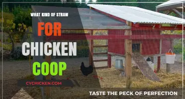 Choosing the Perfect Straw for Your Chicken Coop: A Comprehensive Guide