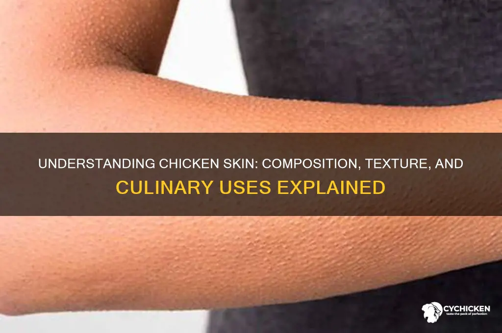 what kind of tissue is chicken skin
