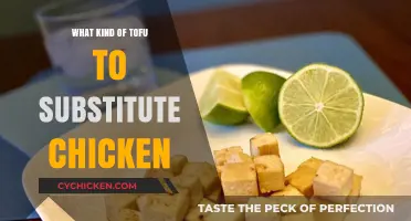 Perfect Tofu Substitutes for Chicken in Your Favorite Recipes