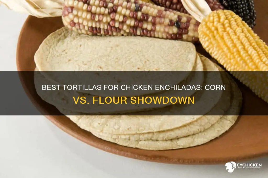 what kind of tortillas for chicken enchiladas
