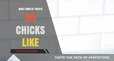 Delightful Treats for Chicks: What Your Feathered Friends Crave Most