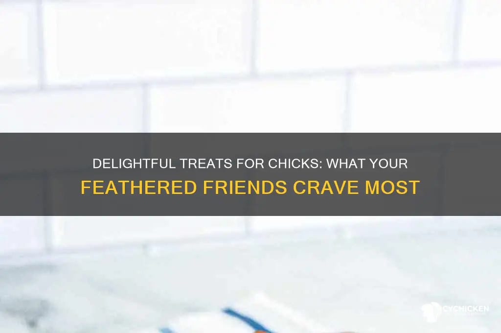 what kind of treats do chicks like
