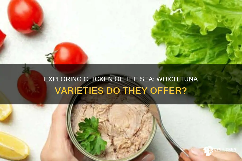 what kind of tuna chicken of the sea