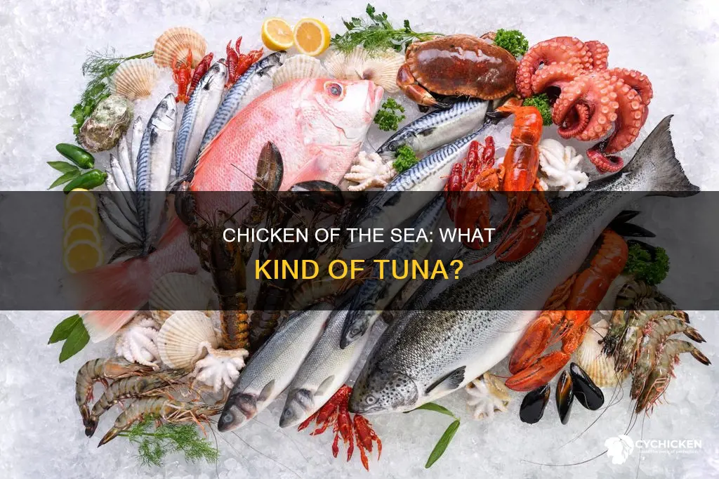what kind of tuna is chicken of the sea