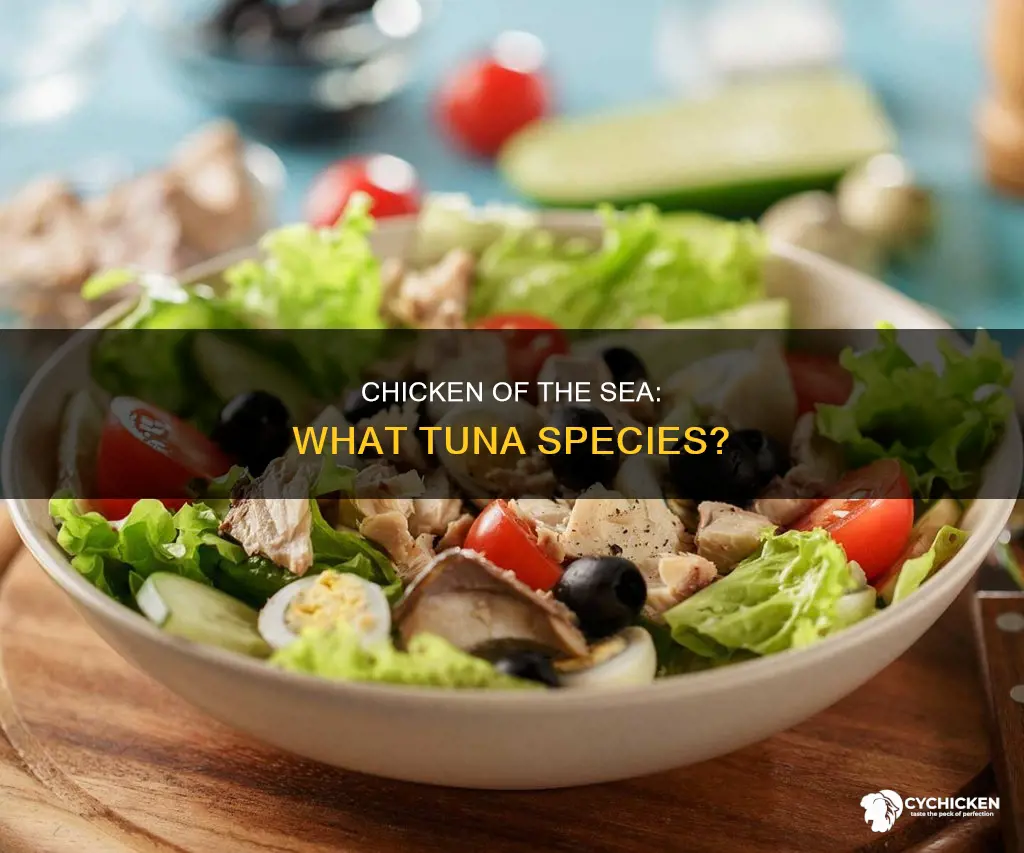 what kind of tuna is in chicken of the sea