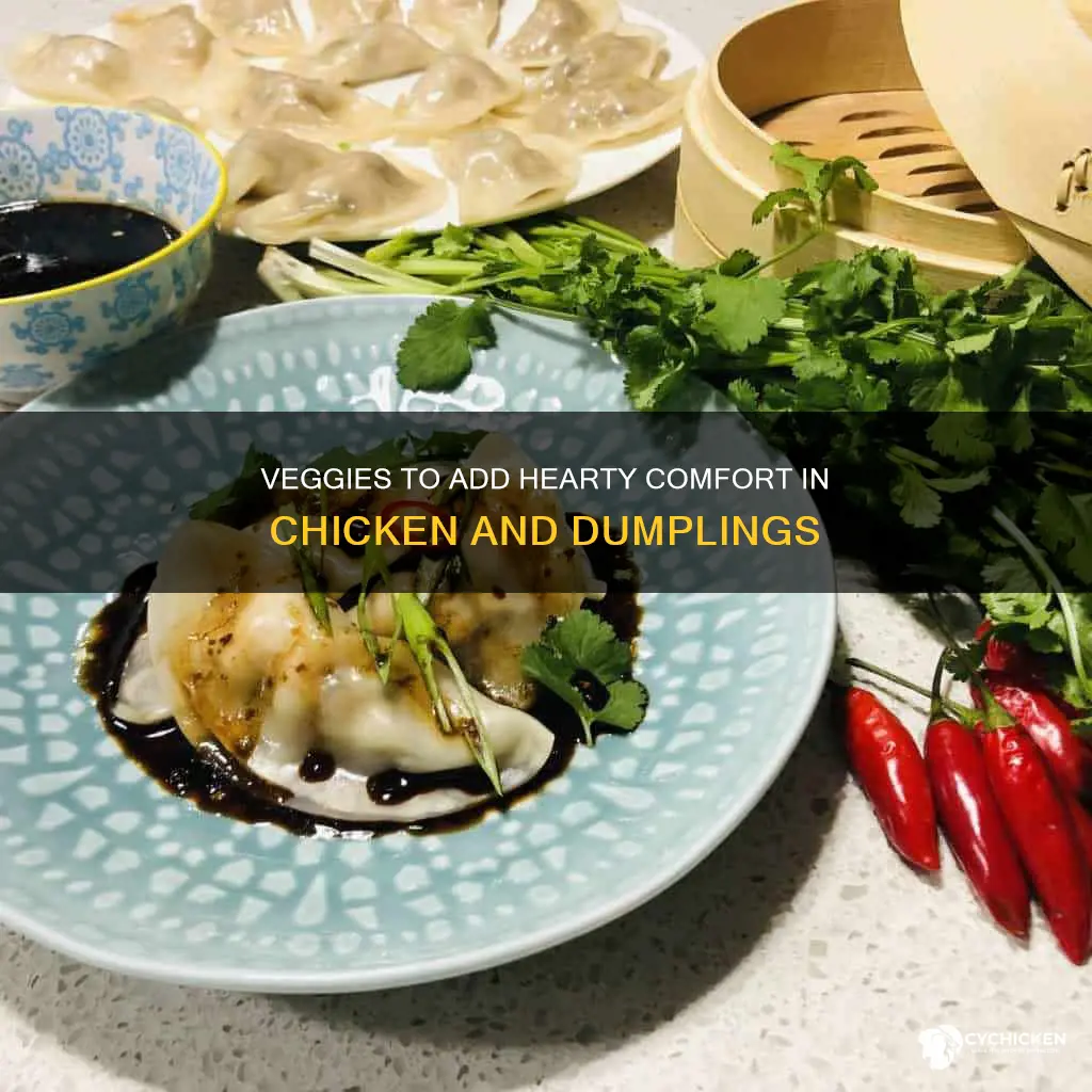 what kind of veggies go in chicken and dumplings