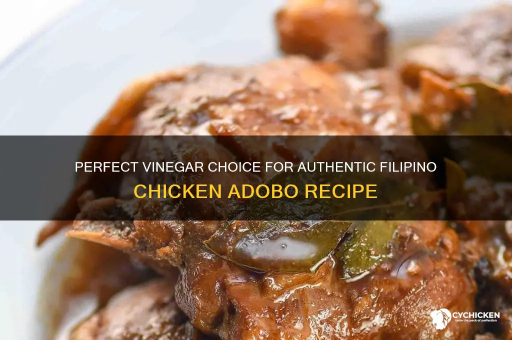 what kind of vinegar for chicken adobo