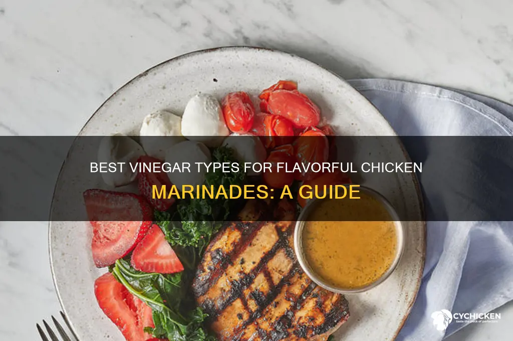 what kind of vinegar for chicken marinade