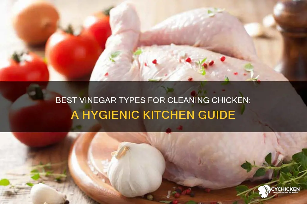 what kind of vinegar for cleaning chicken