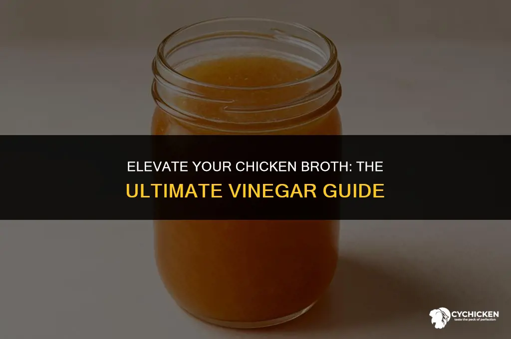 what kind of vinegar is best for chicken broth