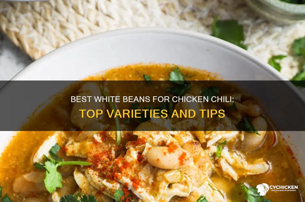 what kind of white beans for chicken chili