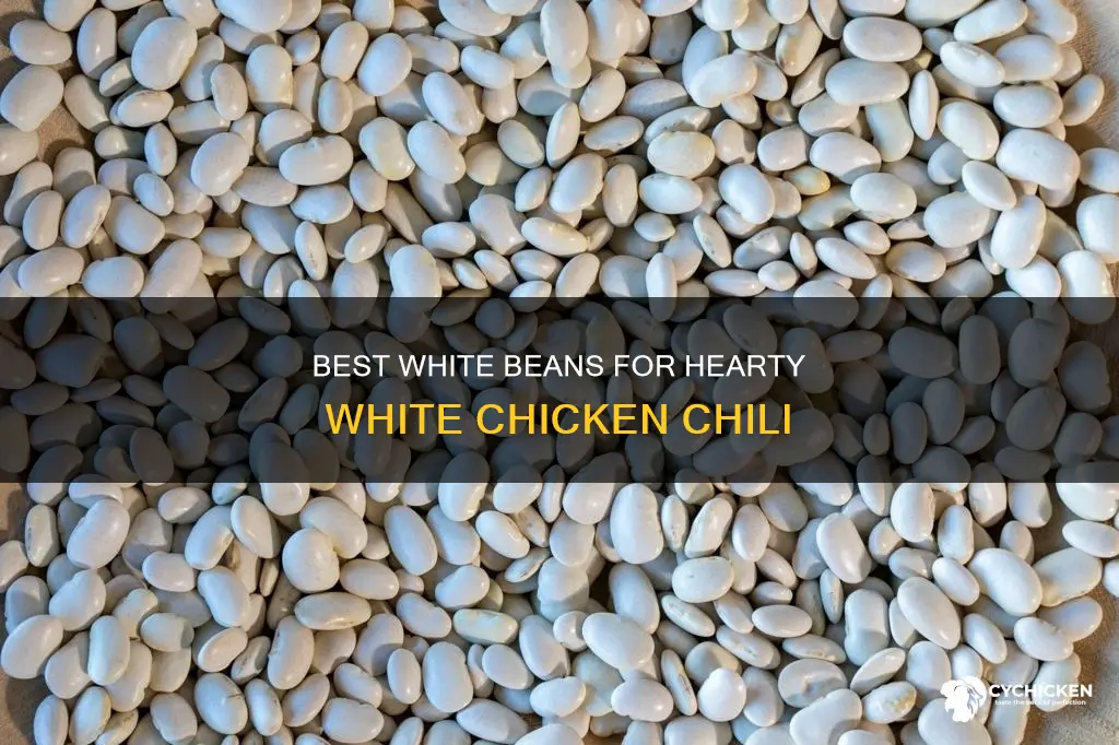 what kind of white beans for white chicken chili