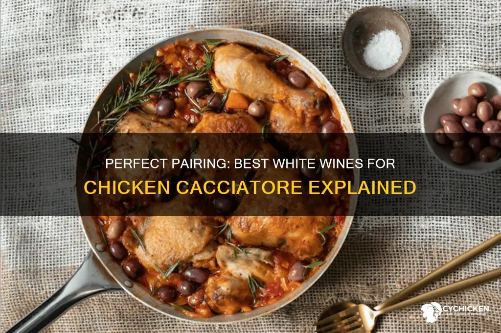what kind of white wine for chicken cacciatore