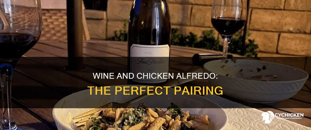 what kind of wine do you drink with chicken alfredo