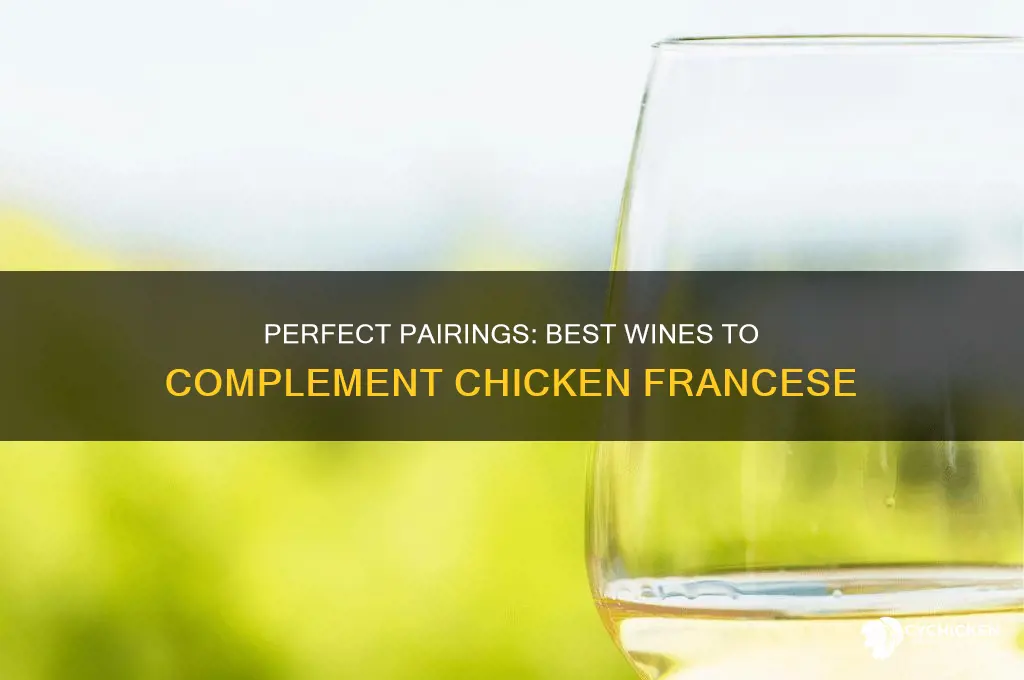 what kind of wine for chicken francese