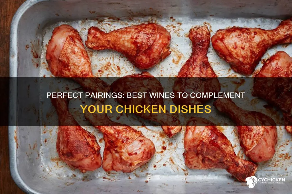 what kind of wine goes best with chicken