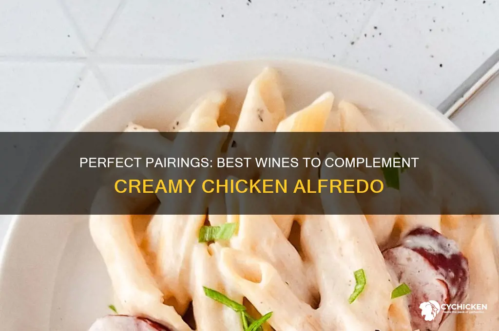 what kind of wine goes with chicken alfredo