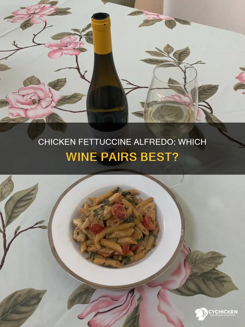 what kind of wine goes with chicken fettuccine alfredo