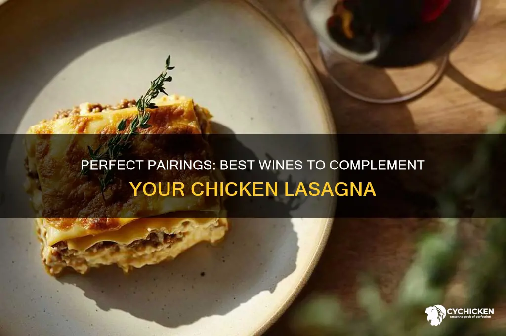 what kind of wine goes with chicken lasagna