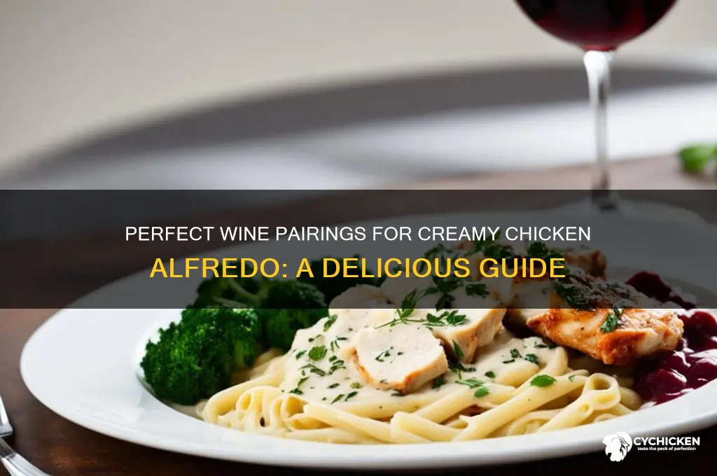 what kind of wine pairs wish chicken alfredo