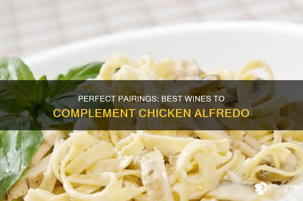 what kind of wine with chicken alfredo