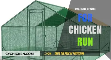 Choosing the Right Wire for Your Chicken Run: A Guide