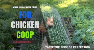 Choosing the Right Wood Chips for Your Chicken Coop: A Guide