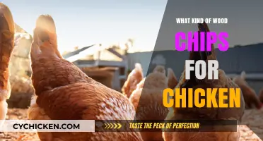 Best Wood Chips for Chicken Coops: Types, Benefits, and Safety Tips
