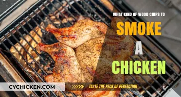 Best Wood Chips for Smoking Chicken