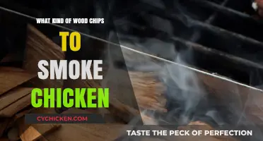 Best Wood Chips for Smoking Chicken: Flavorful Choices and Tips