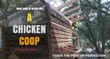 Choosing the Perfect Wood for Your Chicken Coop: A Guide
