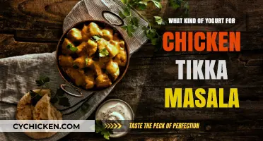 Best Yogurt Types for Authentic Chicken Tikka Masala Recipe