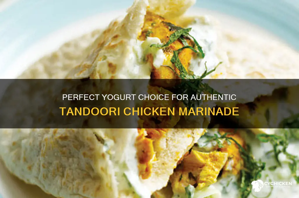 what kind of yogurt for tandoori chicken