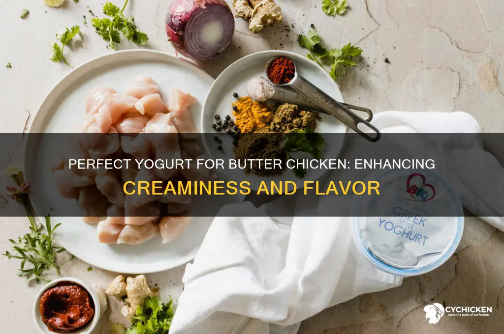 what kind of yogurt goes in butter chicken