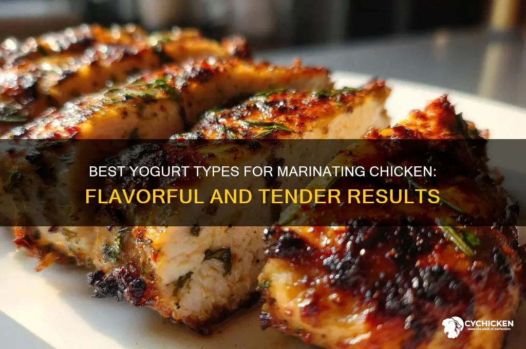 what kind of yogurt to marinate chicken
