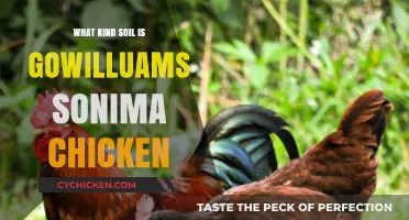 Understanding Gowilluams Sonima Chicken's Ideal Soil Type for Optimal Growth