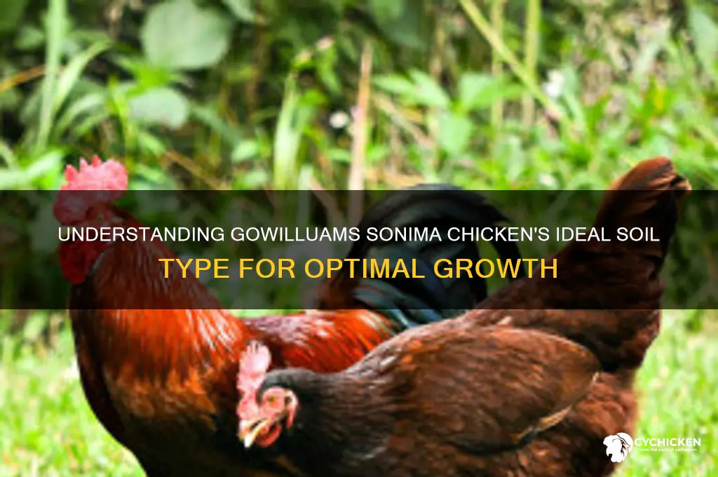 what kind soil is gowilluams sonima chicken