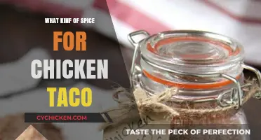 Perfect Chicken Tacos: Best Spices to Elevate Your Flavor Game