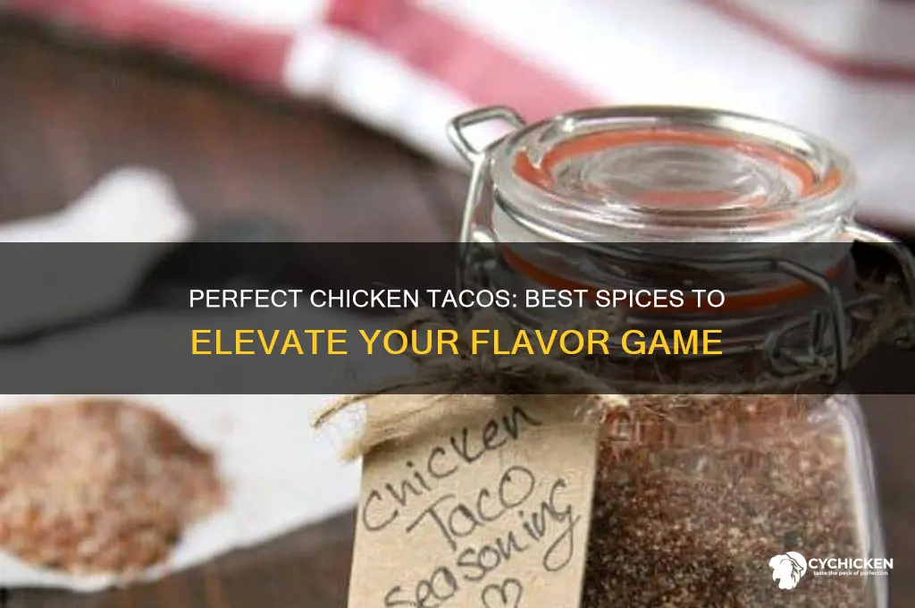 what kinf of spice for chicken taco