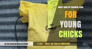 Best Starter Chicken Feed for Healthy Young Chicks Growth