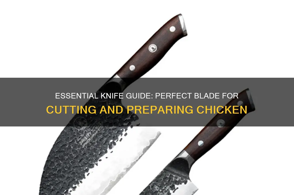 what knife do you need for chicken