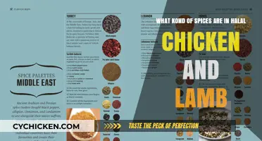 The Spices Behind Flavorful Halal Chicken and Lamb
