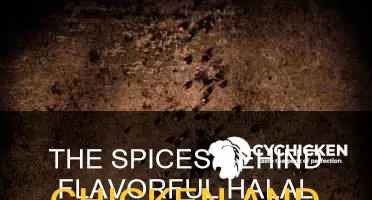 what kond of spices are in halal chicken and lamb