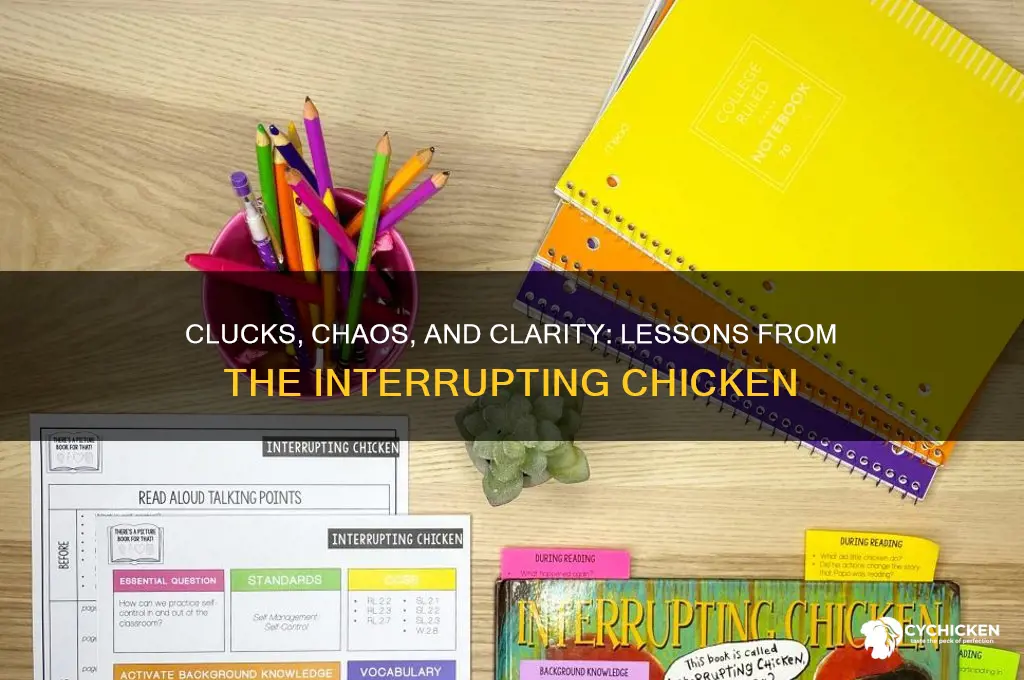 what lessons are learned with intrupting chicken