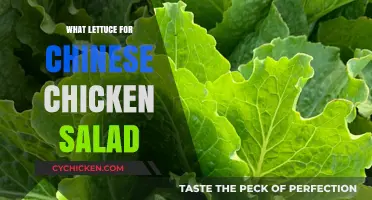 Crispy Lettuce Varieties for the Perfect Chinese Chicken Salad
