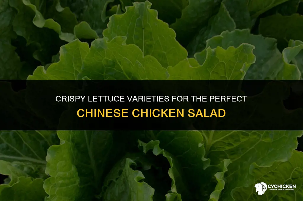 what lettuce for chinese chicken salad
