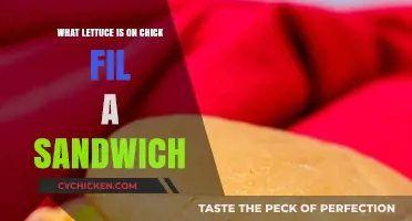 What Lettuce Does Chick-fil-A Use on Their Classic Sandwich?