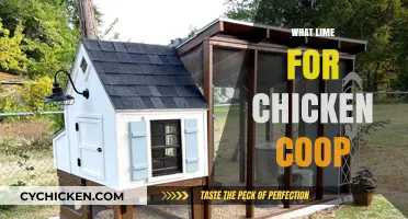 Optimal Lime Application for a Healthy Chicken Coop Environment