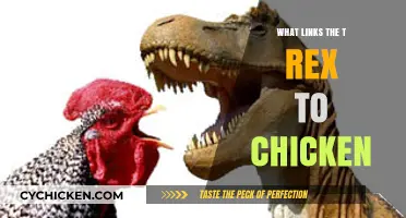 T. Rex to Chicken: Unraveling the Surprising Dinosaur-Bird Connection