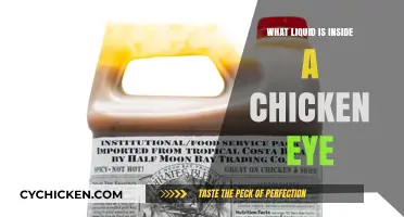 Unveiling the Mystery: What Liquid Fills a Chicken's Eye?